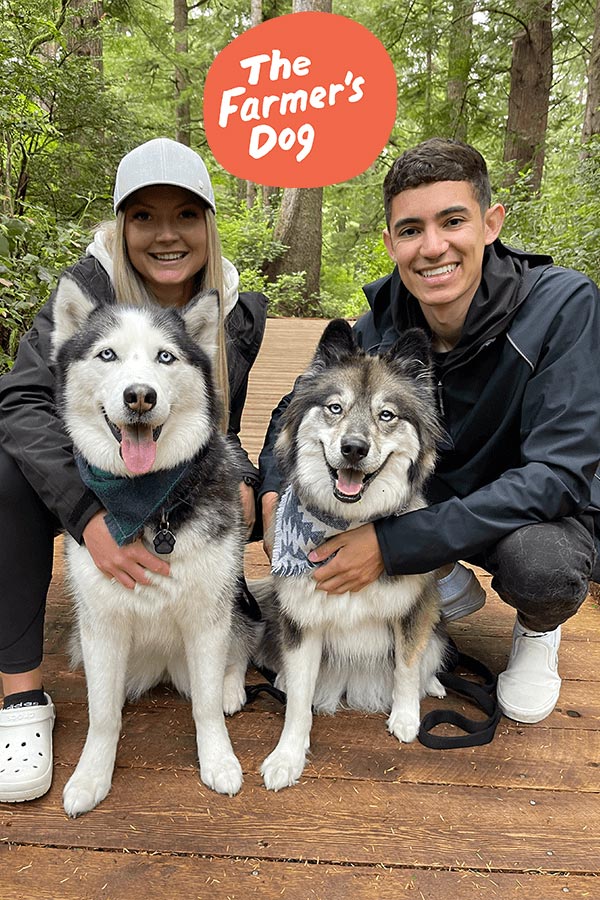 influencers My mountain husky pose with their two dogs